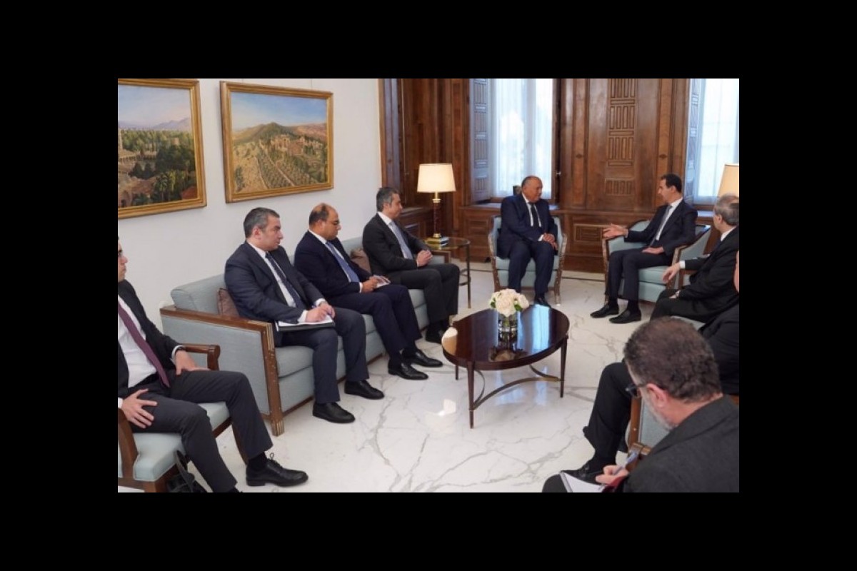 Egypt's foreign minister meets with Assad