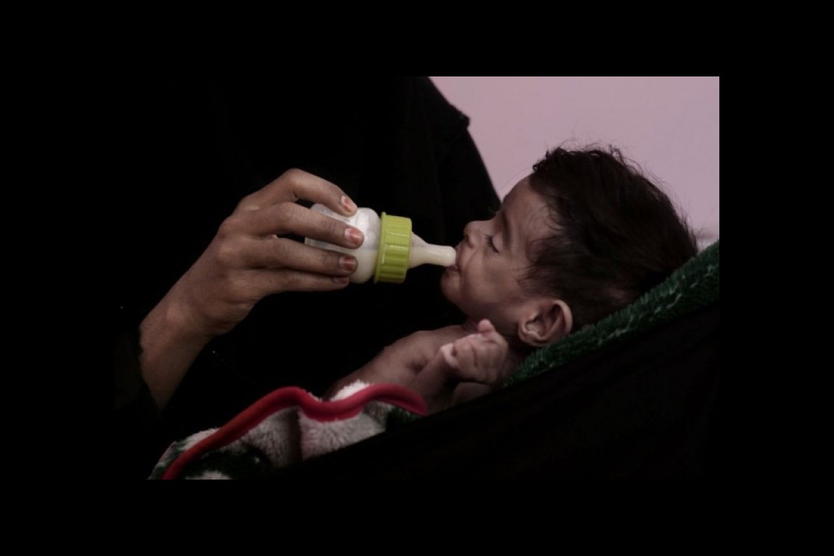 Yemen, report on the eighth anniversary of the war