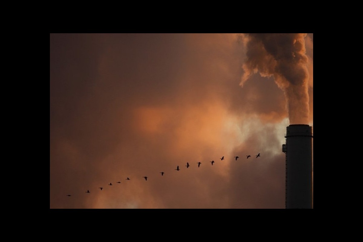 EU: 1,200 minors victims of smog