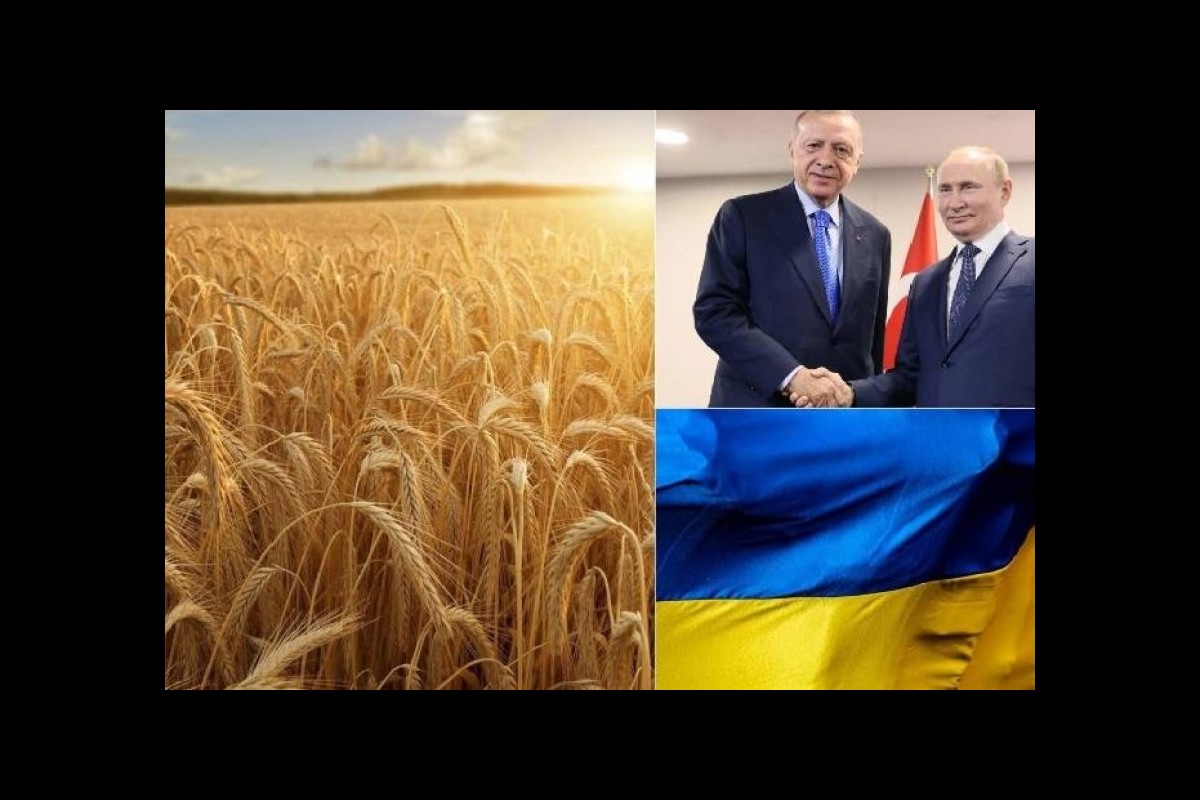 Grain Deal, discussions are back in Istanbul