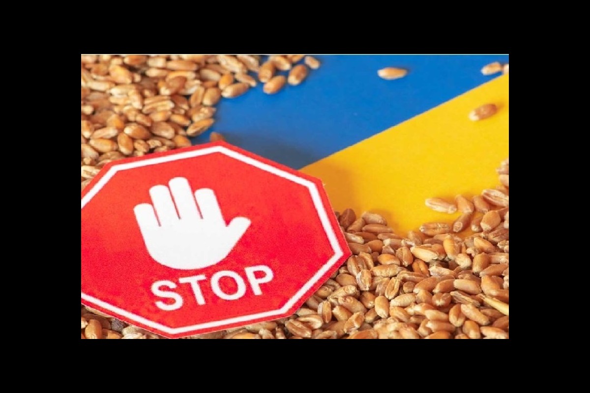 Hungary and Poland, Ukrainian grain is a problem for Europe