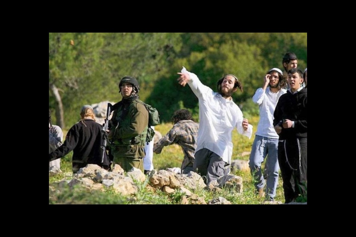 Settler violence rages across the West Bank, dozens of Palestinians injured
