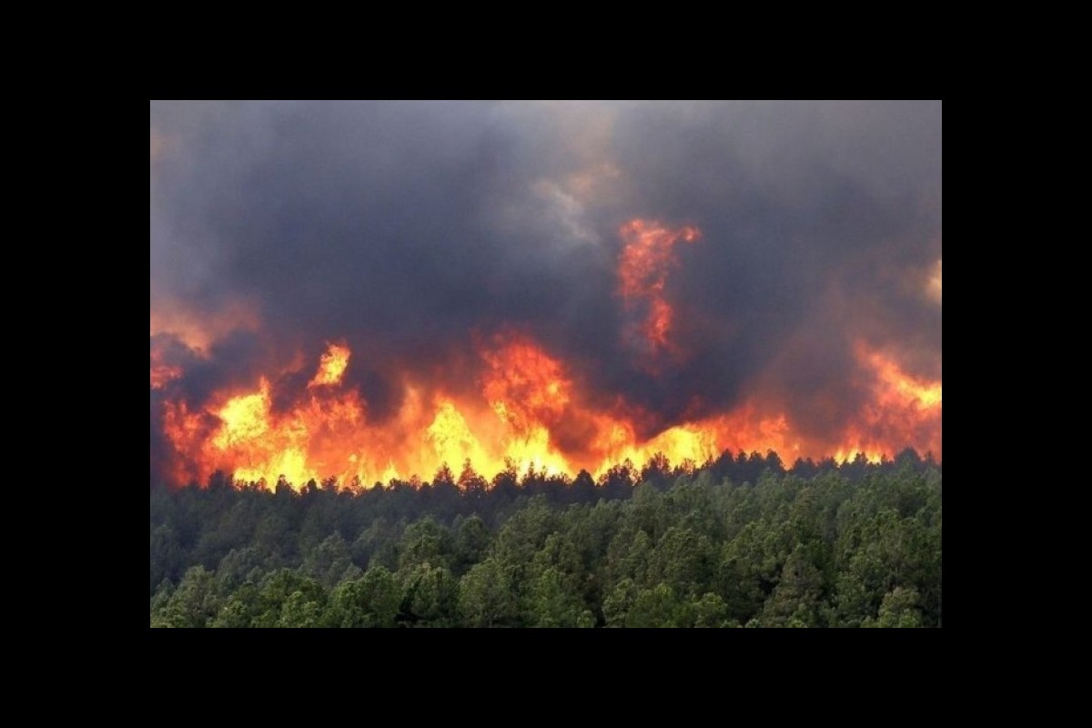 Türkiye, forest fires: flames reach the city of Belen