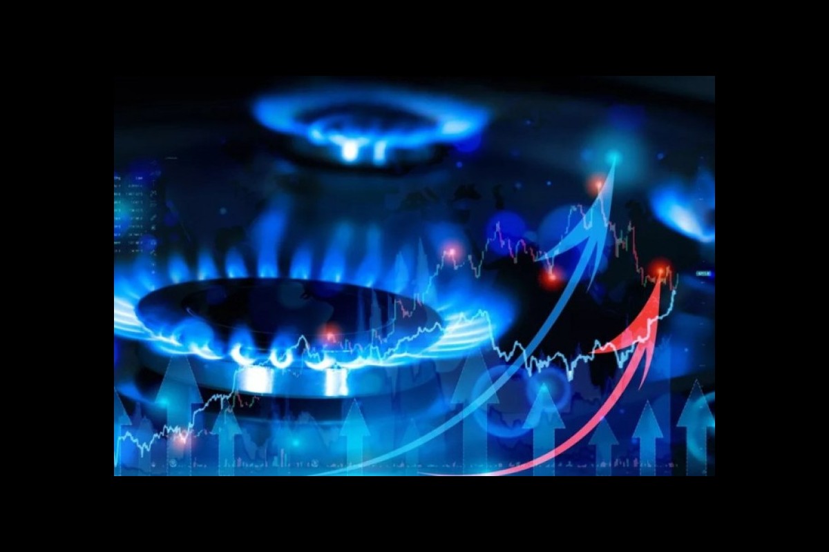 EU countries are reducing their gas consumption