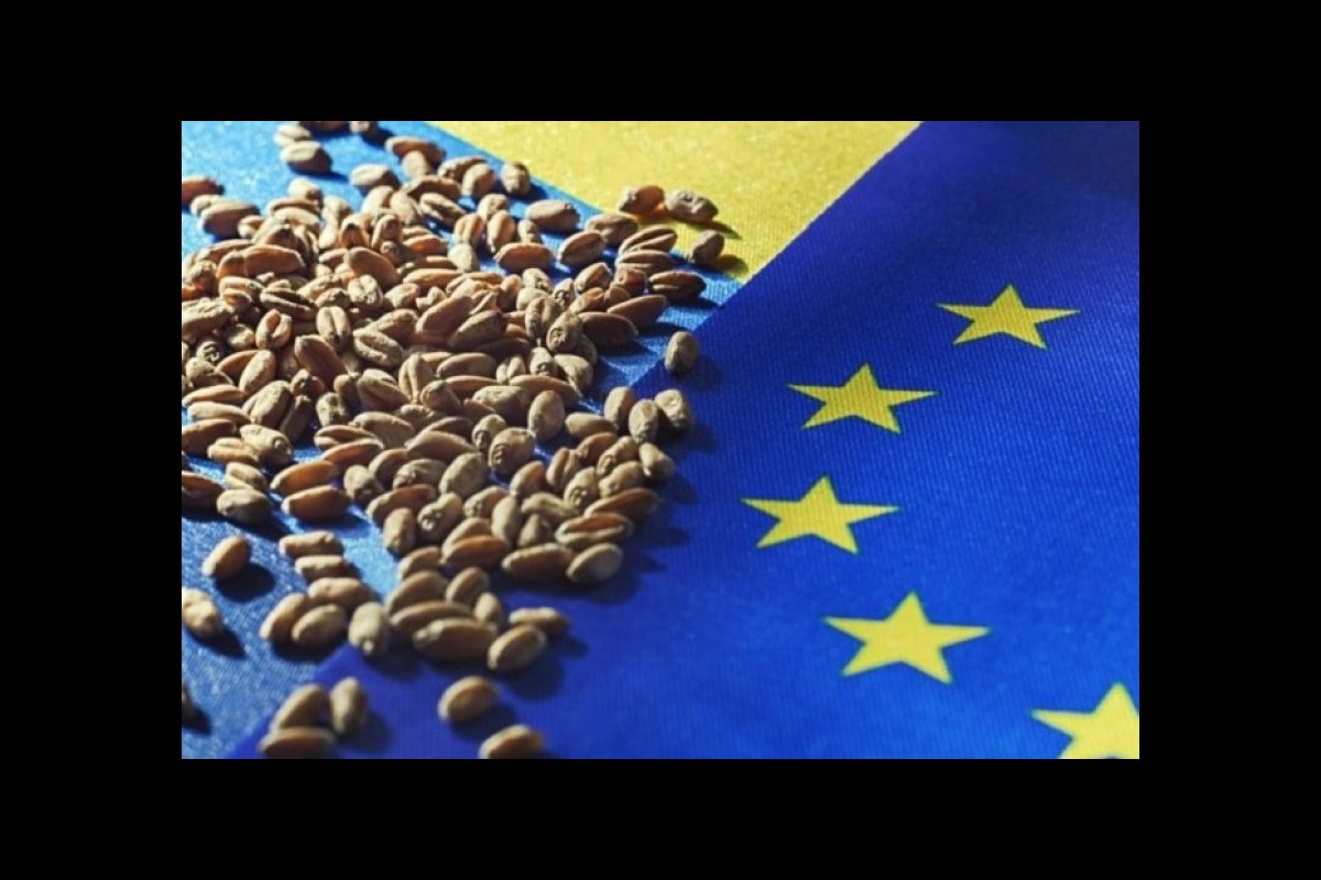 Wheat Agreement, Erdogan: next talks with the UN and the West