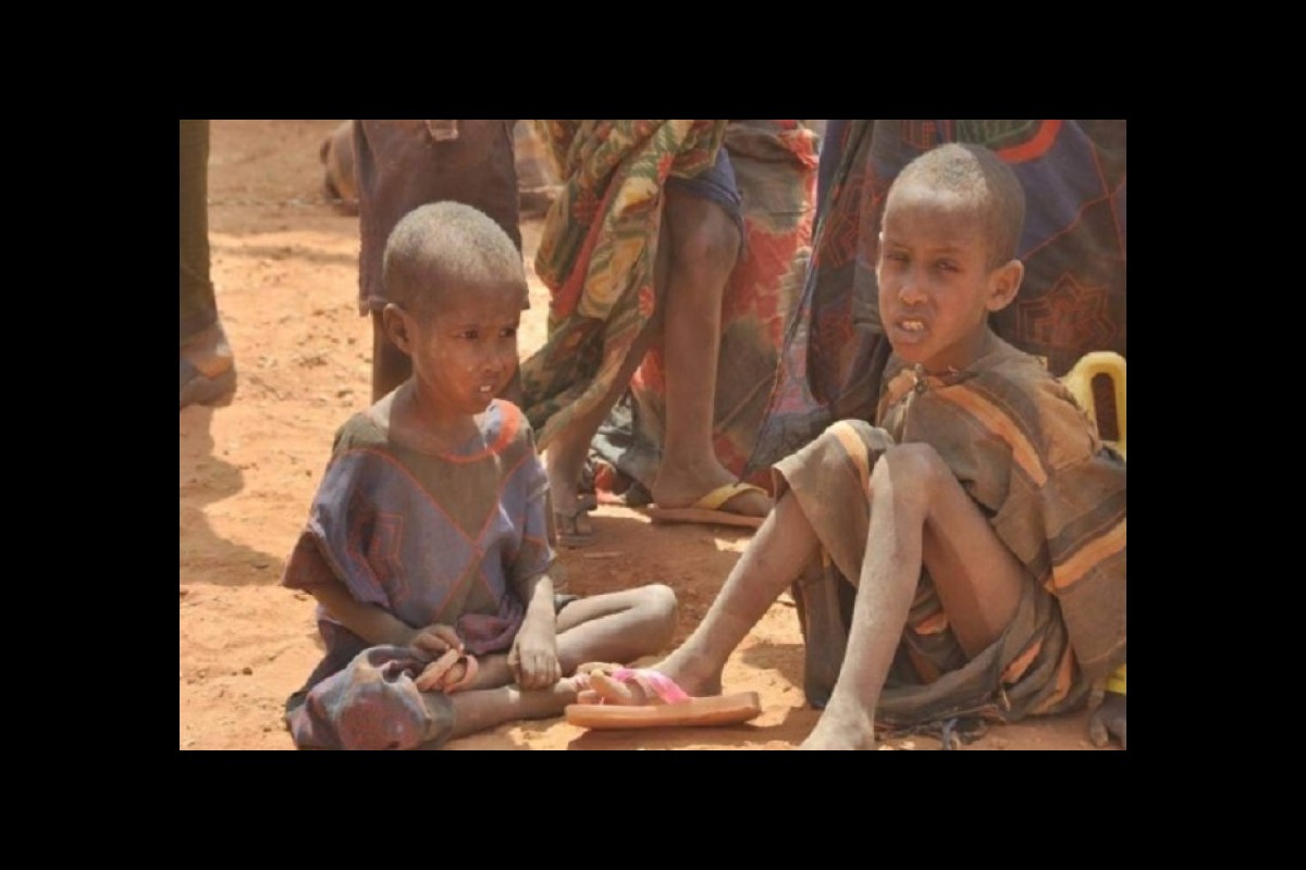 UNHCR warning about humanitarian crisis in Niger