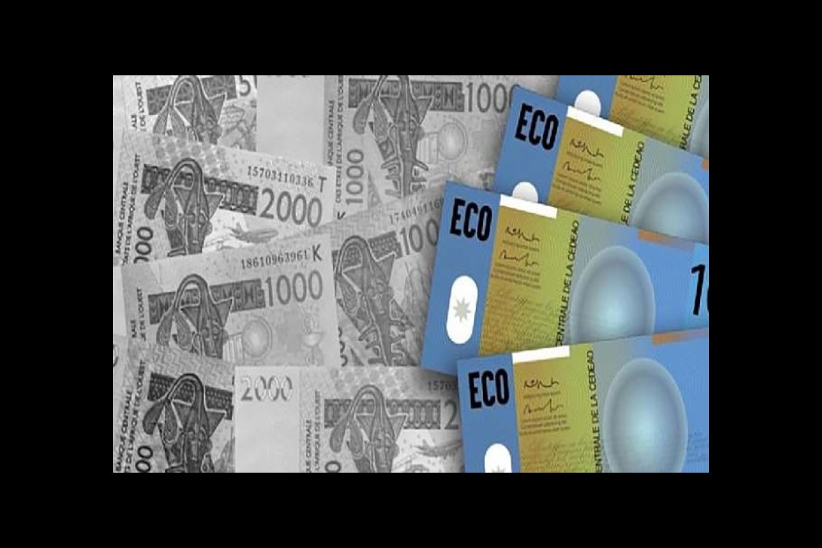 Officials recommend further steps to speed up the introduction of the ECOWAS common currency