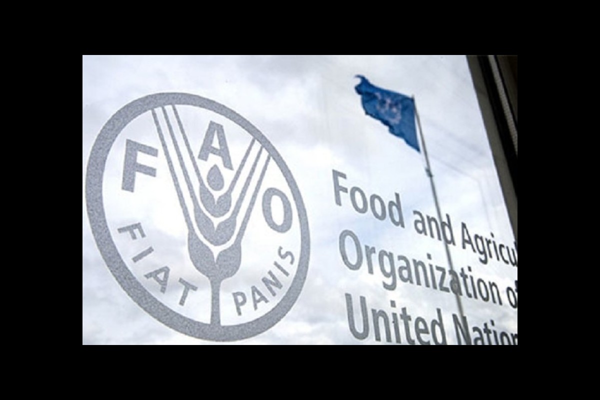 FAO. World food prices have set a new record