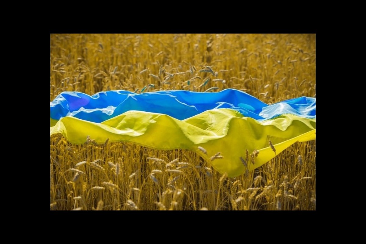 Grain, Minister of Agriculture of Ukraine in Poland