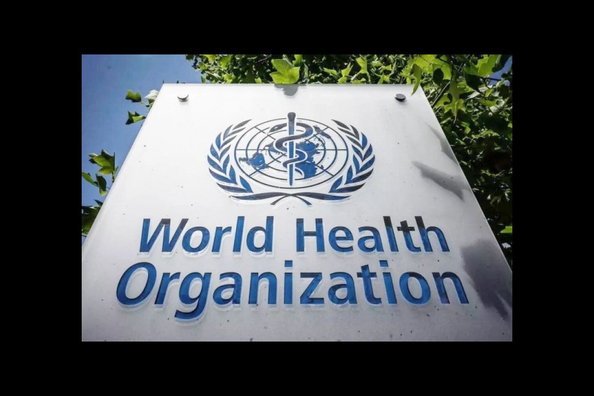 WHO: The number of cholera sufferers in the world has doubled