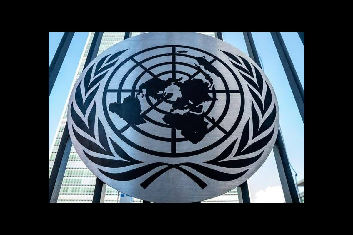 The United Nations' Inefficiency Exposed: Searching for Alternatives