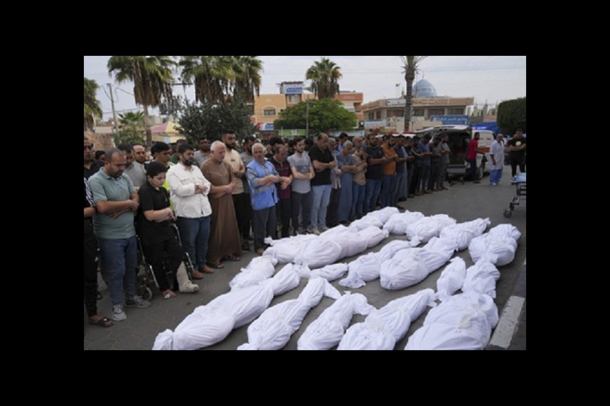 The number of martyrs killed in Gaza has increased to 8,306 people, 3,457 children