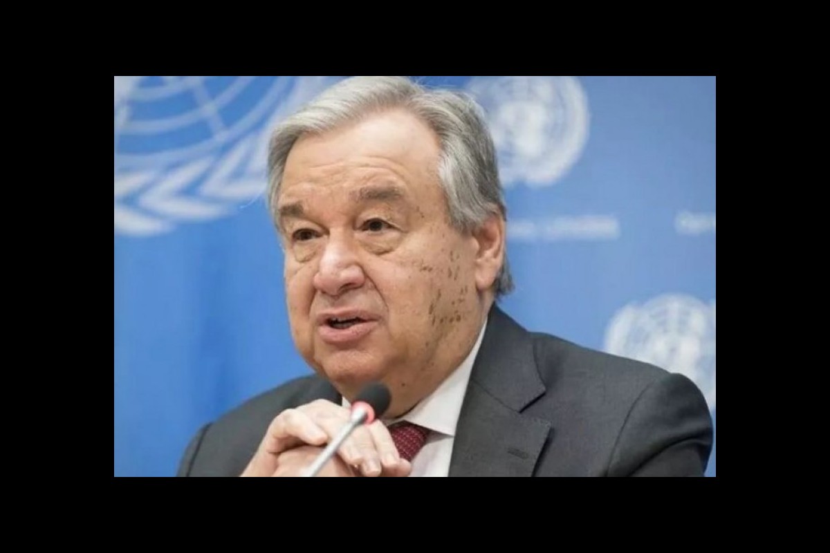 The death of dozens of UN staff as a result of the Zionist regime's attack on the Gaza Strip