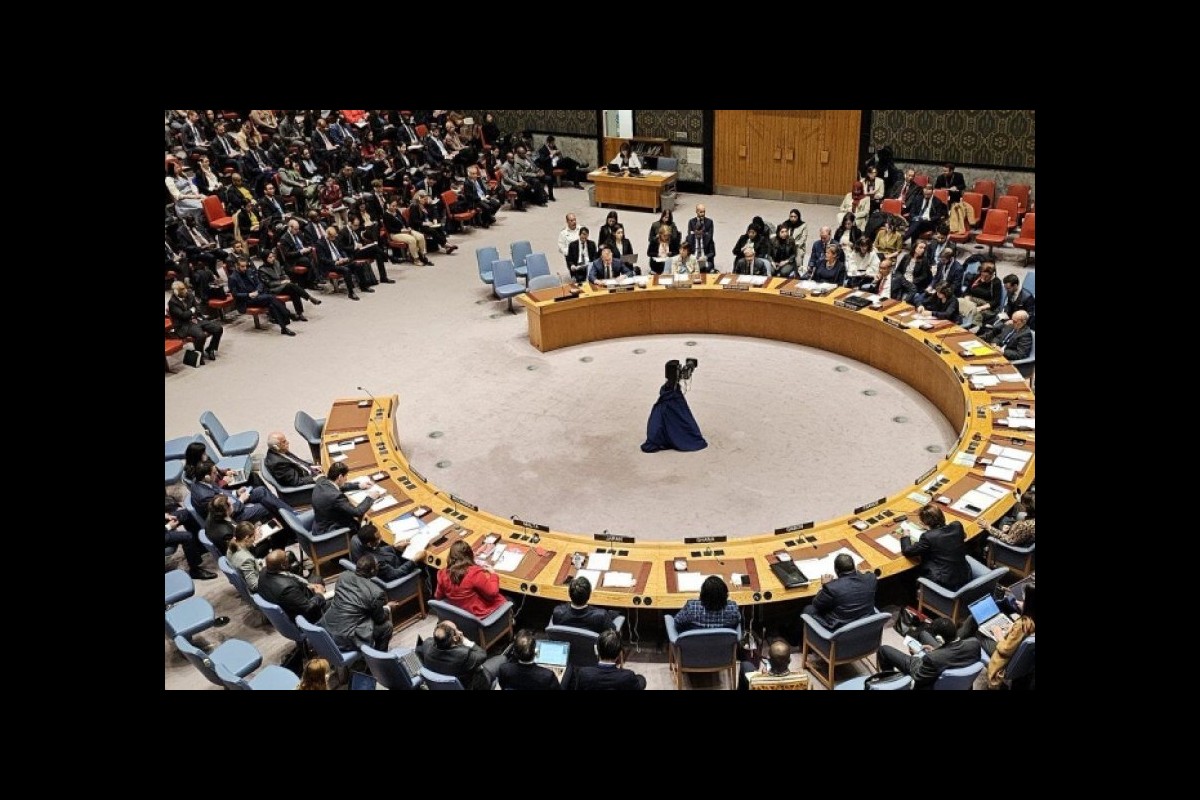 Condemnation of America's actions to veto the ceasefire resolution in Gaza