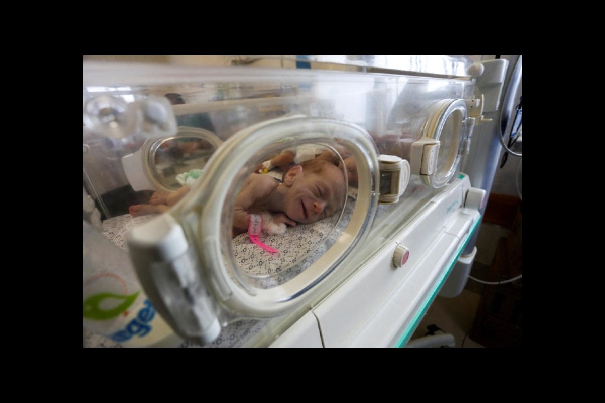 Premature Babies in Gaza