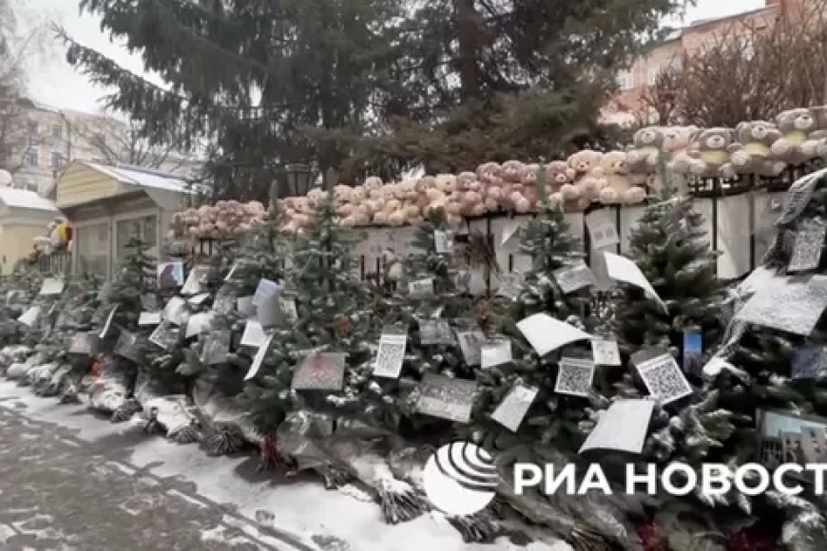 У посольства Палестины в Москве выставили ели с фото последствий конфликта