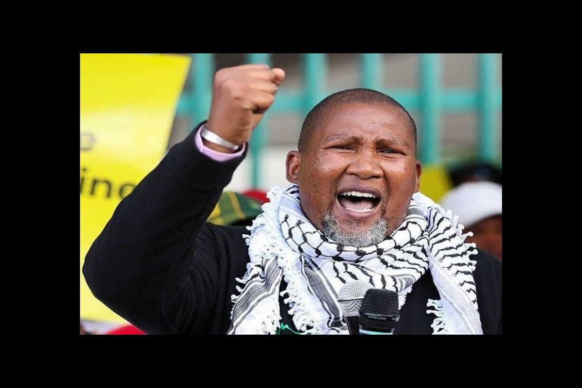 African Politician: Some Arab countries are disappointed in the Palestinian issue