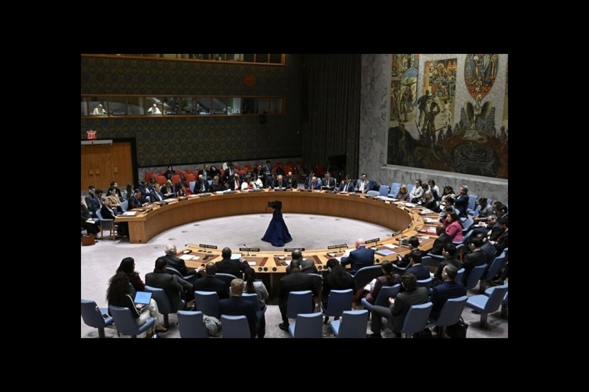 The Minister of Foreign Affairs of Ireland stated that the veto does not make sense in the 21st century