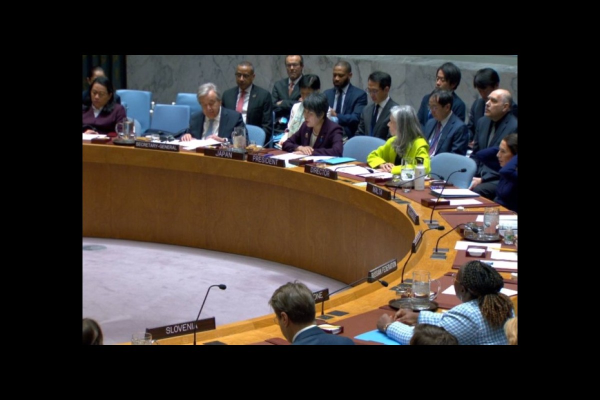 Sana'a's reaction to the Security Council statement on the operation of Yemeni forces in the Red Sea