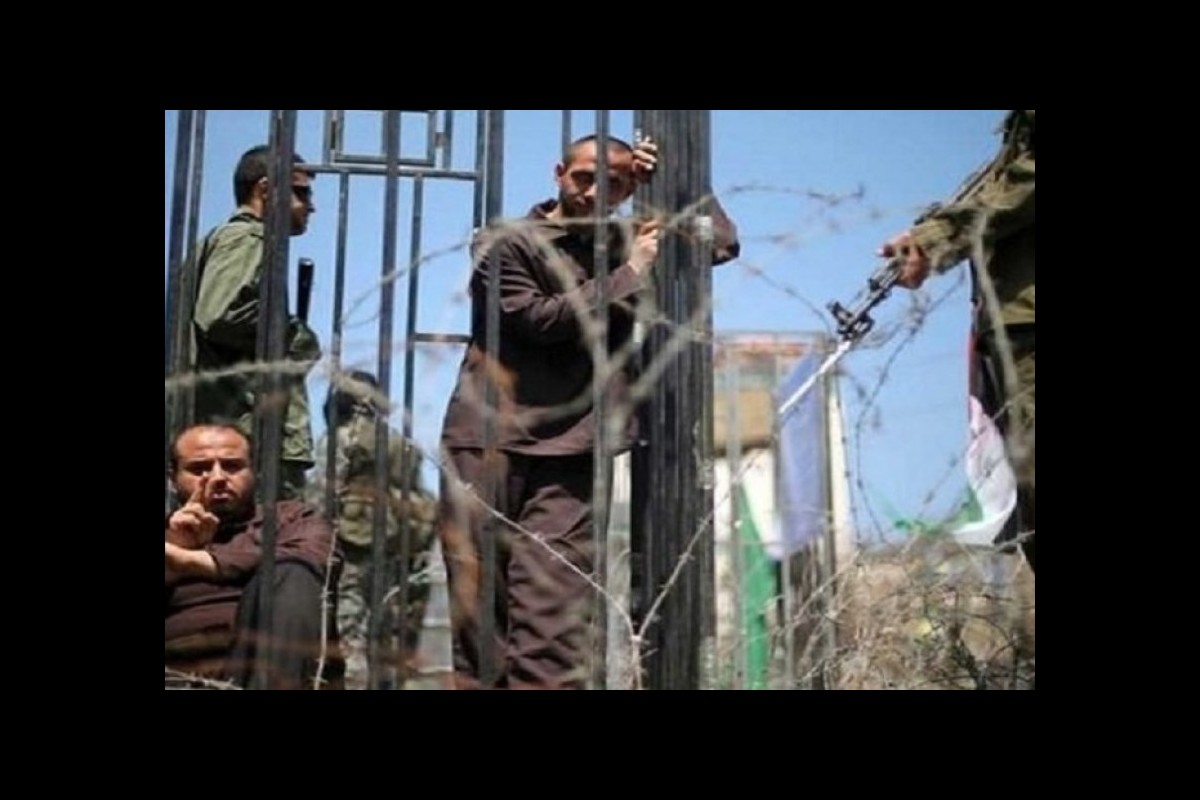 Palestinian prisoners are increasing dramatically in the prisons of the Zionist regime
