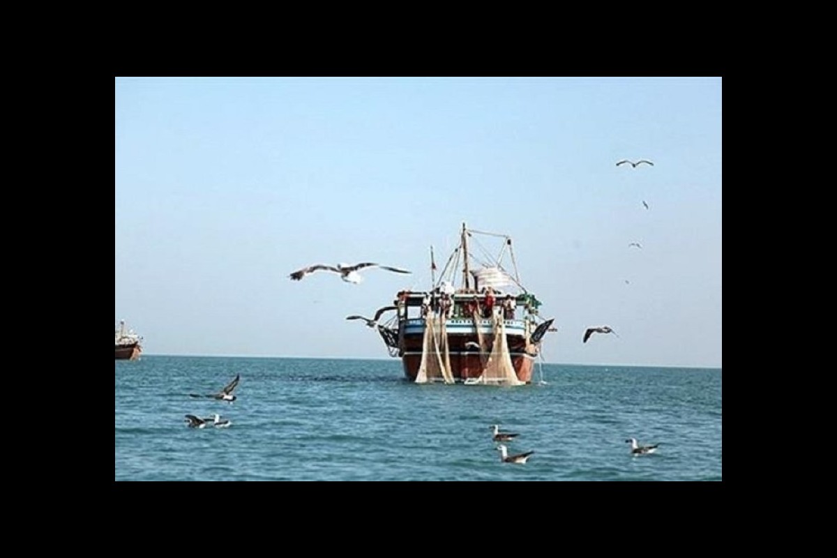 Somalia bans international fishing vessels off its coast
