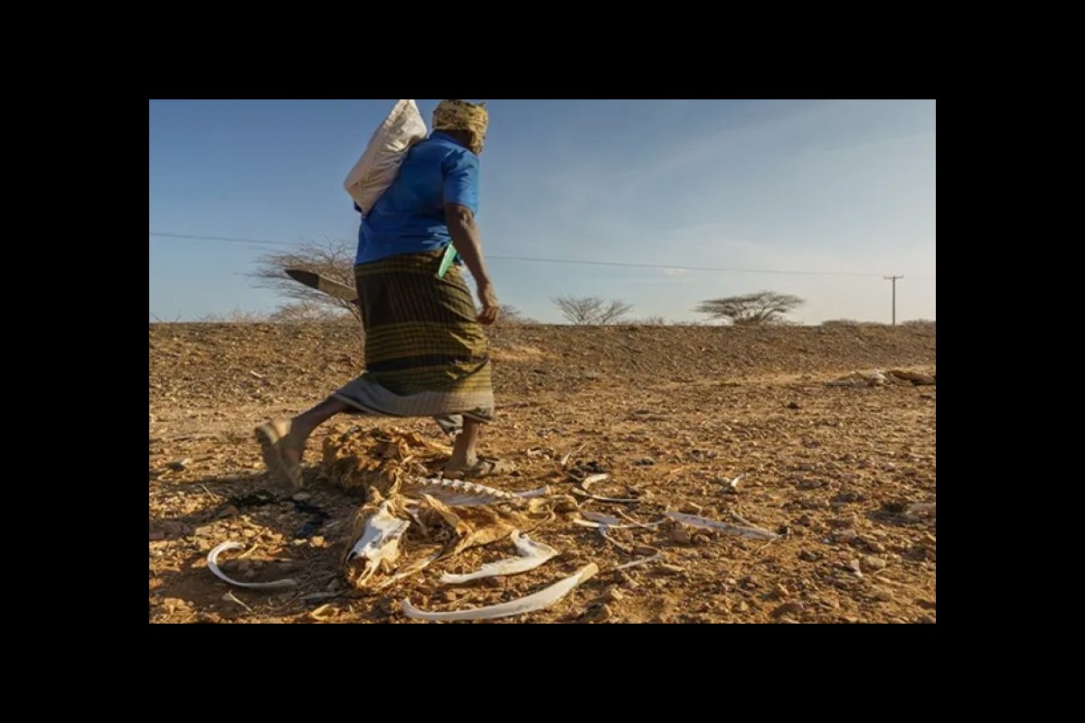 Africa, the biggest victim of climate change, although it does not contribute much to its initiation
