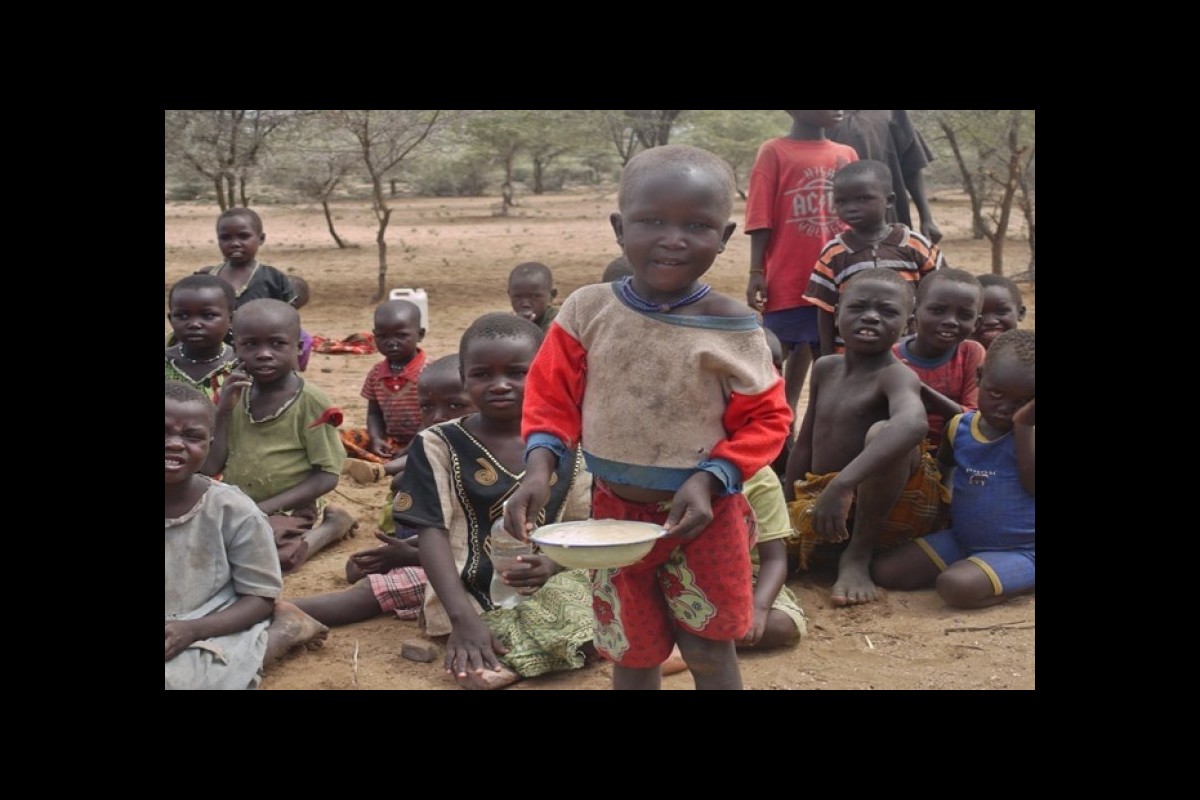 Millions do not have food in three countries in the Sahel region