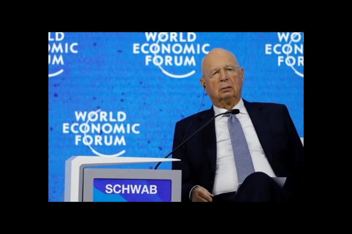 Why does the World Economic Forum seek to interfere in the affairs of national and local institutions?