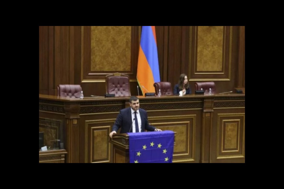 National Assembly Opposition Criticizes Proposed EU Membership Referendum as Misguided