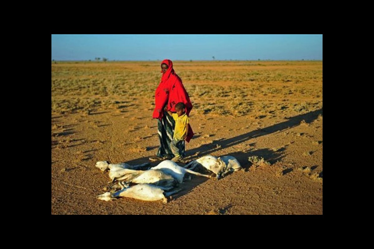 63% of children in Somalia face severe food poverty