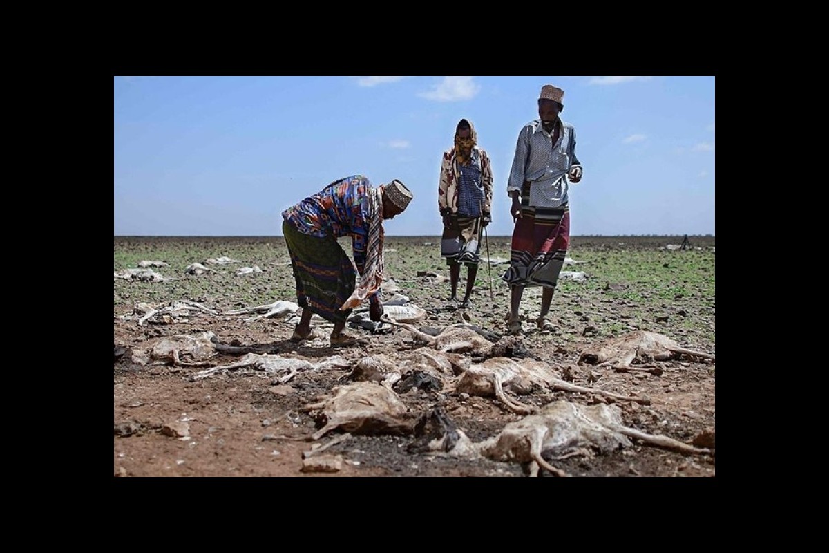 63 million people are food insecure in the Horn of Africa