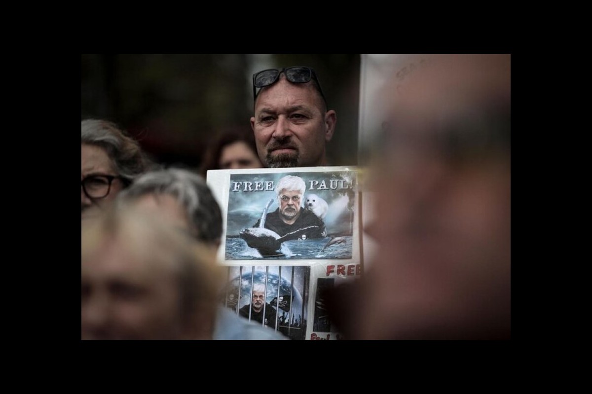 Greenland court extends anti-whaling activist’s time in custody as Japan seeks his extradition