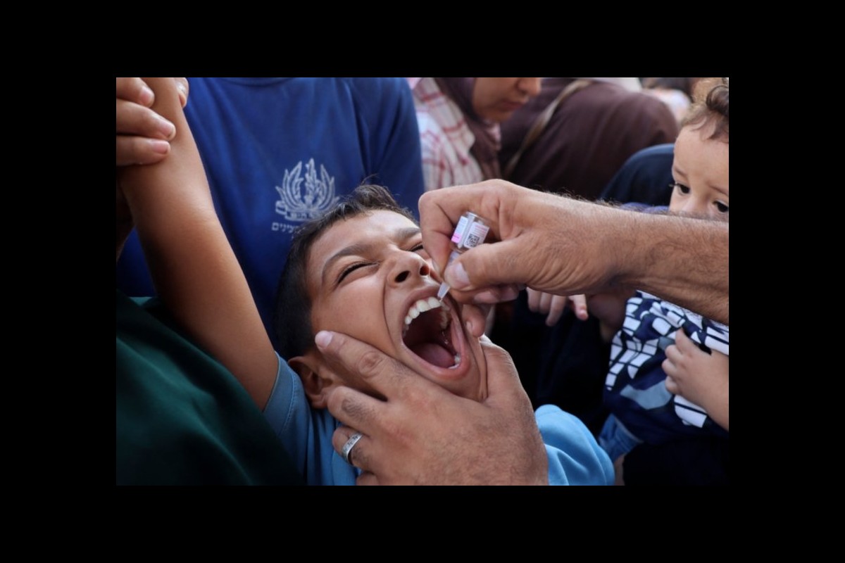 Amid Bombs and Bacteria: How Israel's War on Gaza Unleashes a Biological Catastrophe