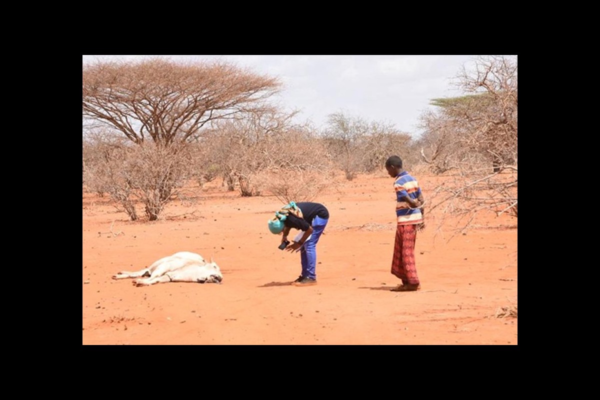 More than 82 million people suffer from food shortages in East and Central Africa