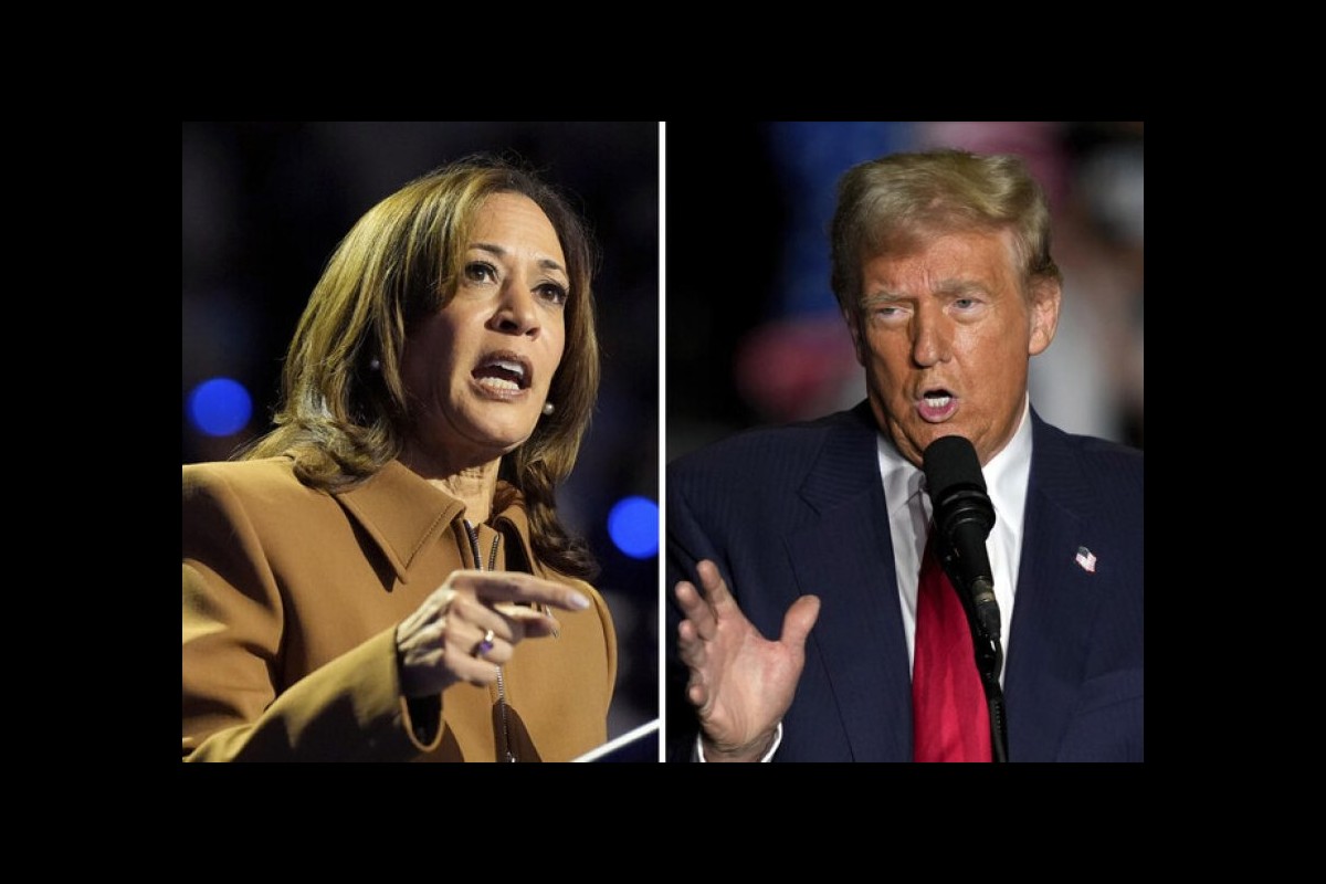 Ghana’s African American Diaspora Divided as US Election Nears