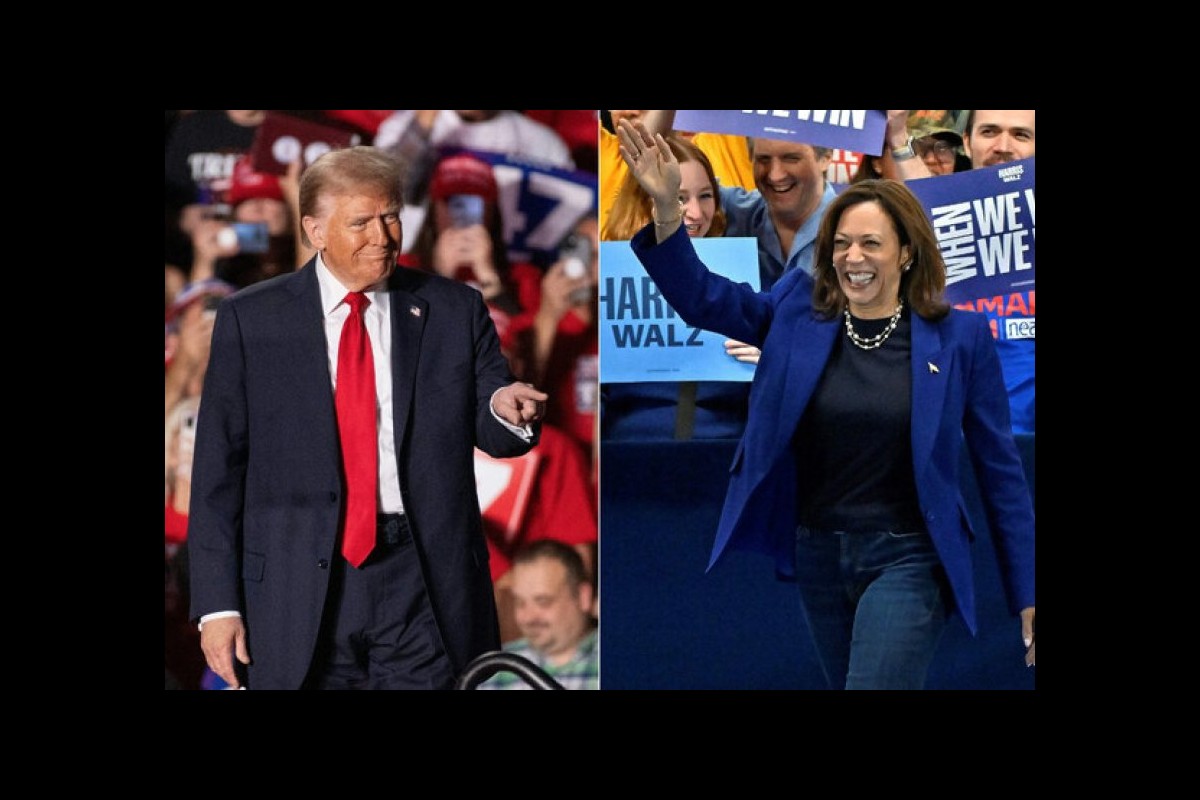 Win the Vote, Then Still Lose Dealing with America's Electoral College