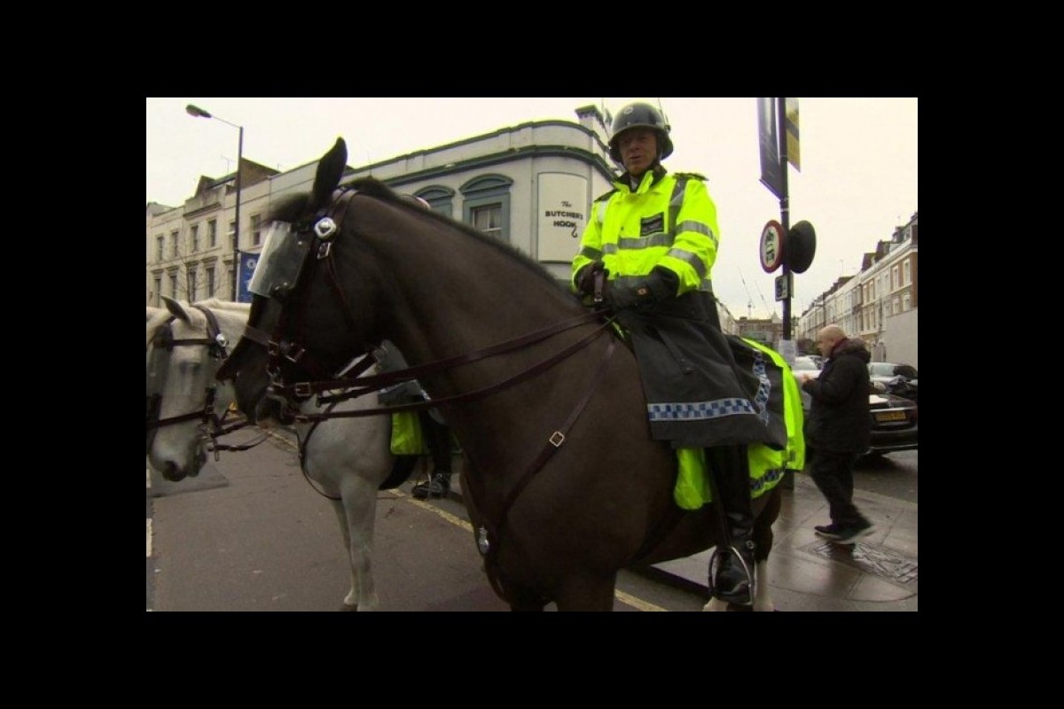 600 British police have been fired