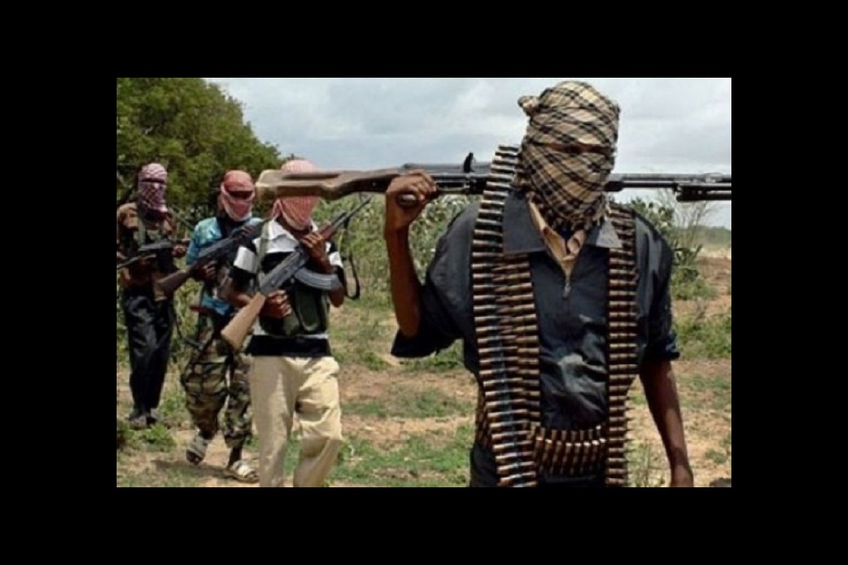What role do Western countries play in the rise of terrorism in Africa?