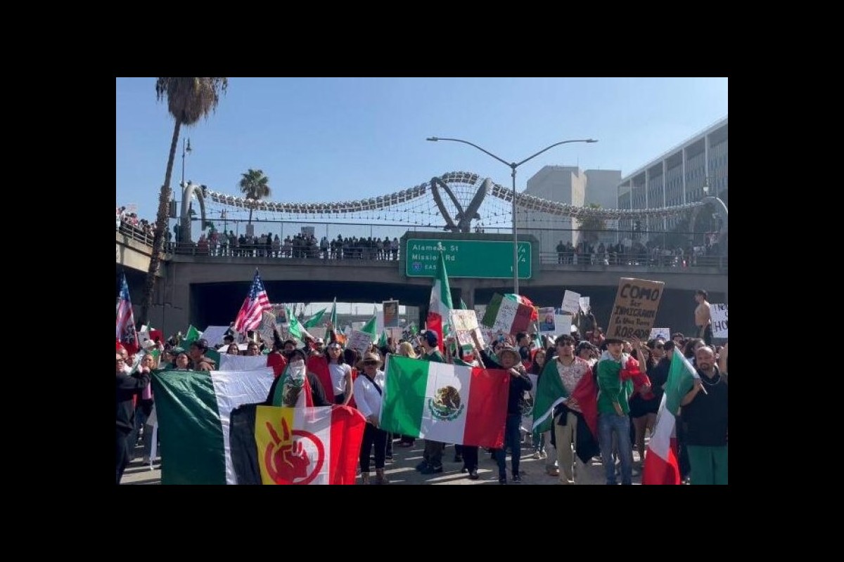 A wave of protests against the deportation of migrants has risen in the US
