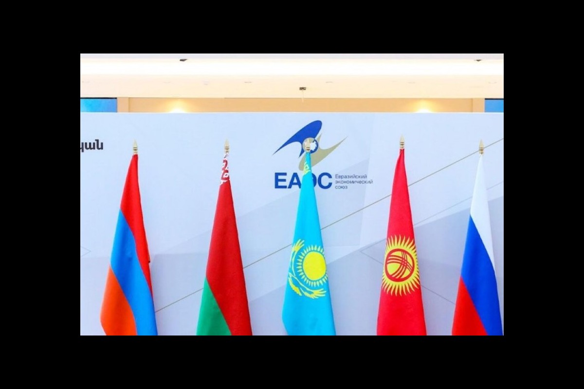 EAEU to hold regular meetings with businessmen from G5 countries: EEC Minister