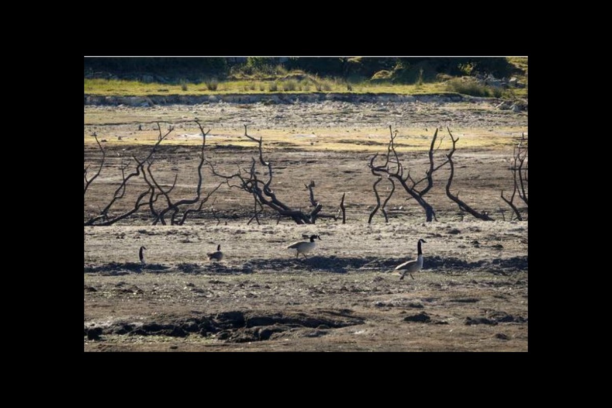 Privatized to Death: The British Drought That Shareholders Helped Create