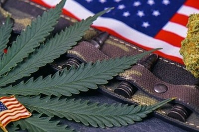 The largest Telegram channel of drug smuggling from the US to Kyrgyzstan identified