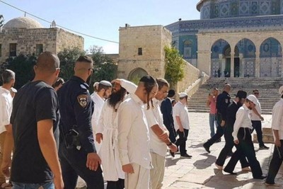 Settlers' provocation: money for those who sacrifice animals in al-Aqsa