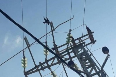 وسائل اعلام عبرية: إنقطاع التيار الكهربائي على نطاق واسع في جميع أنحاء الاراضي المحتلة