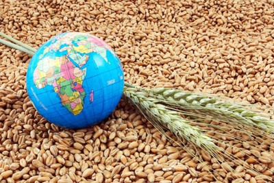 الأمن الغذائي العالمي والحرب في أوكرانيا