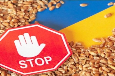 Hungary and Poland, Ukrainian grain is a problem for Europe