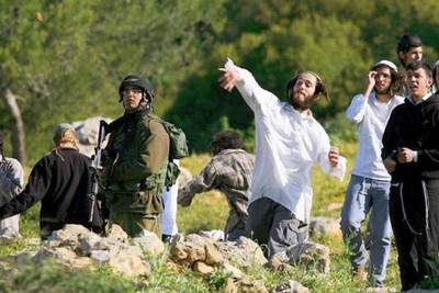 Settler violence rages across the West Bank, dozens of Palestinians injured
