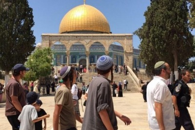 Al-Aqsa, new provocation by settlers against Palestinians