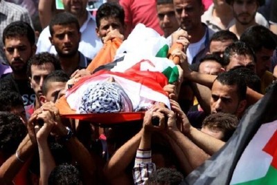 Palestinian Federation of Latin America: Israel committed a massacre in Jenin