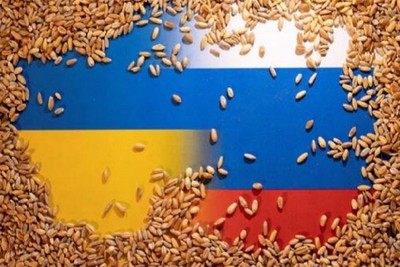 Türkiye, the West no longer needs grain from Ukraine